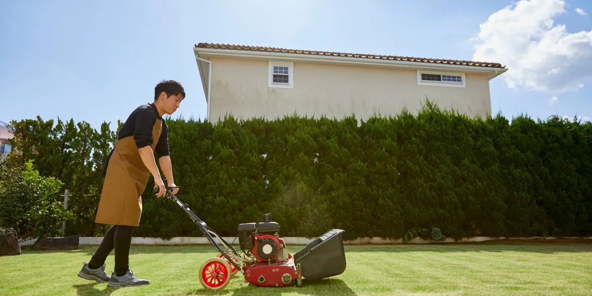 how to start a lawn service business