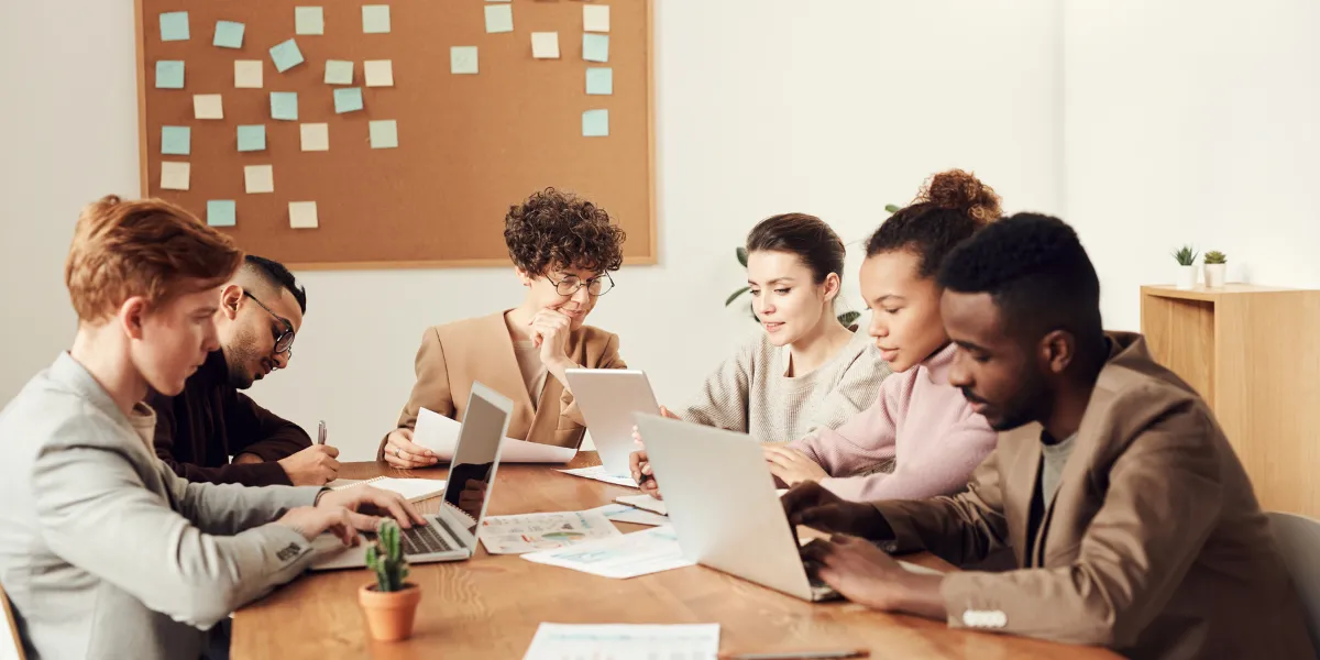 non business organization examples