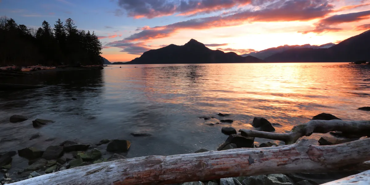 british columbia business license