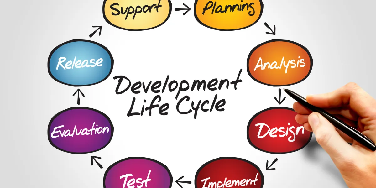 business life cycle