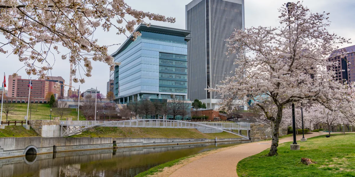 richmond business license