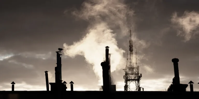 small business carbon tax rebate